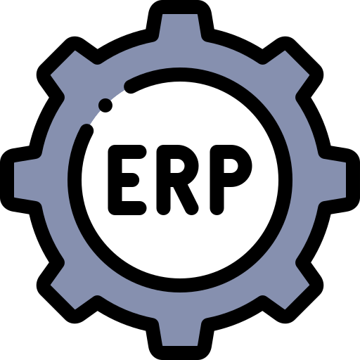 ERP Support Services